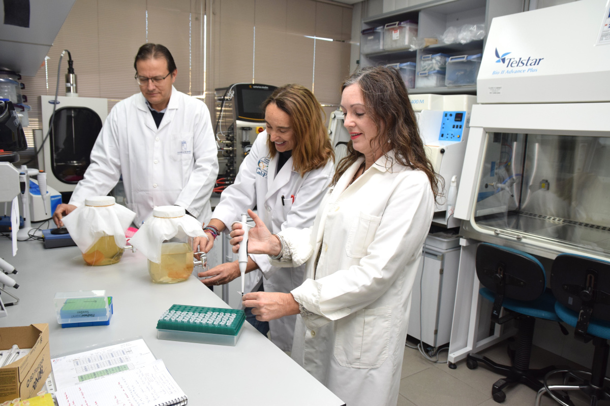 De izquierda a derecha: Pablo Fernández, Cristina García y Paula Períago, en el laboratorio del CEBAS-CSIC.